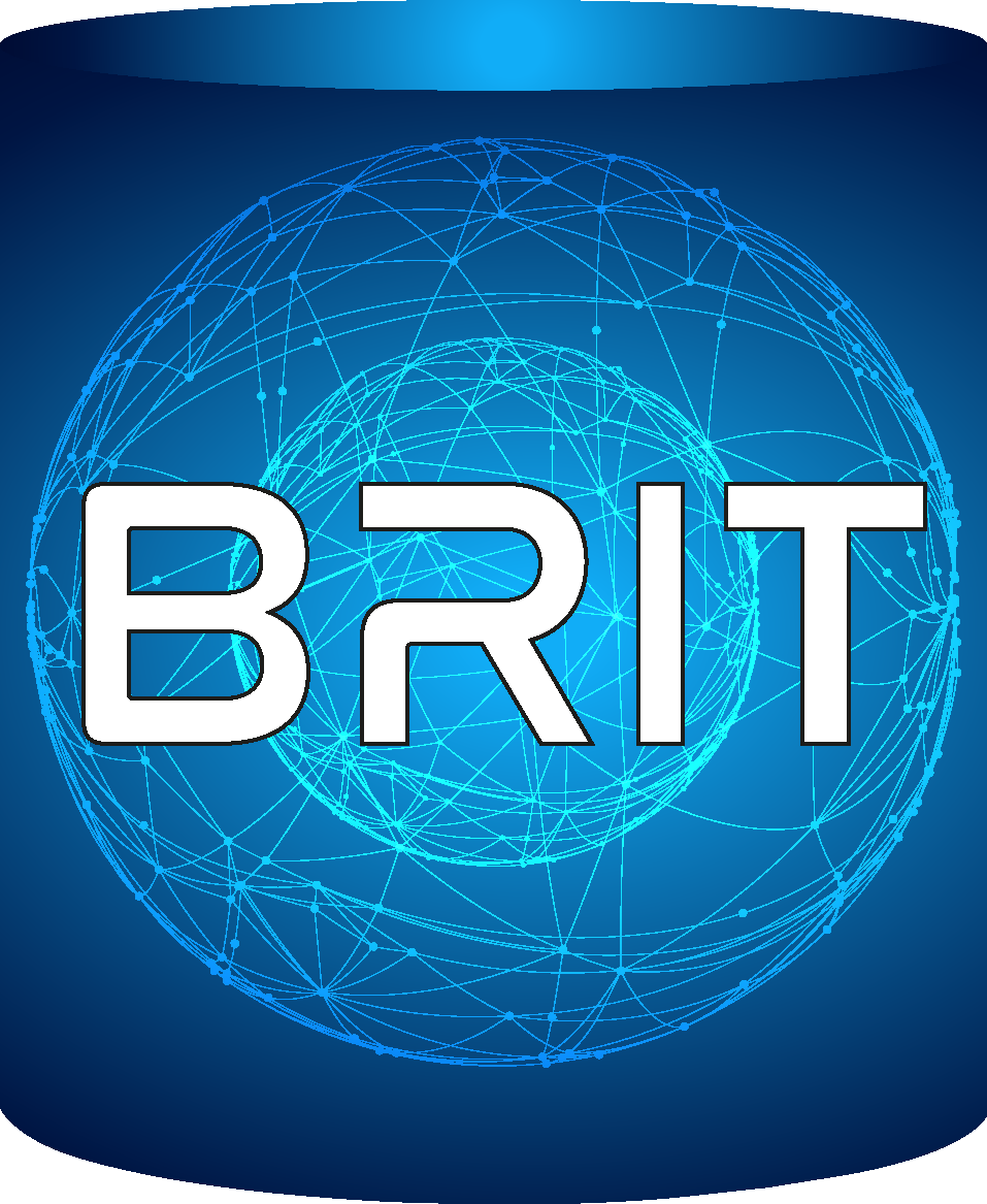 BRIT Consultoria